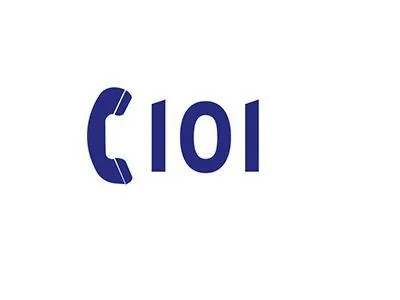 Logo 101
