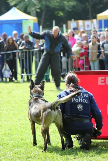 Simulation d'une intervention avec la brigade canine. Agente avec un chien à son côté qui confronte un suspect.